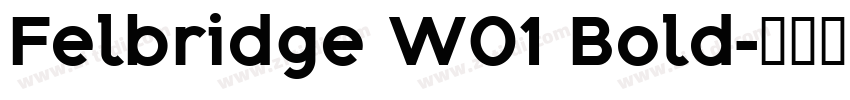 Felbridge W01 Bold字体转换